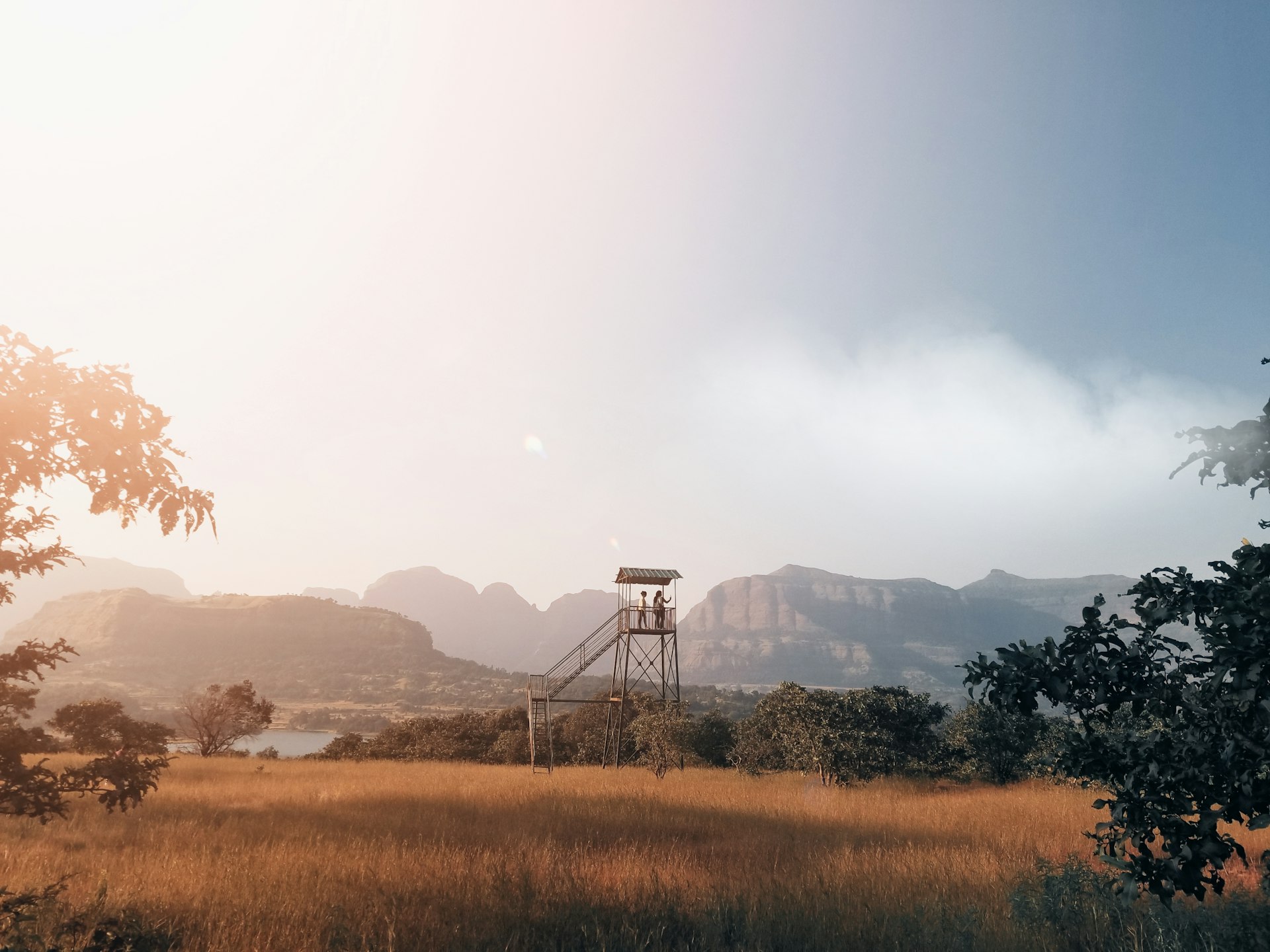 Why Survival Crafting Games Are Captivating a New Generation of Players