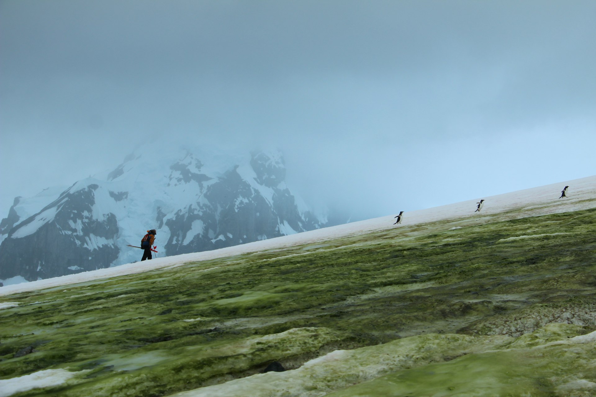 Why Open World Exploration Games Matter: Unlocking Benefits for Mind, Industry, and Community